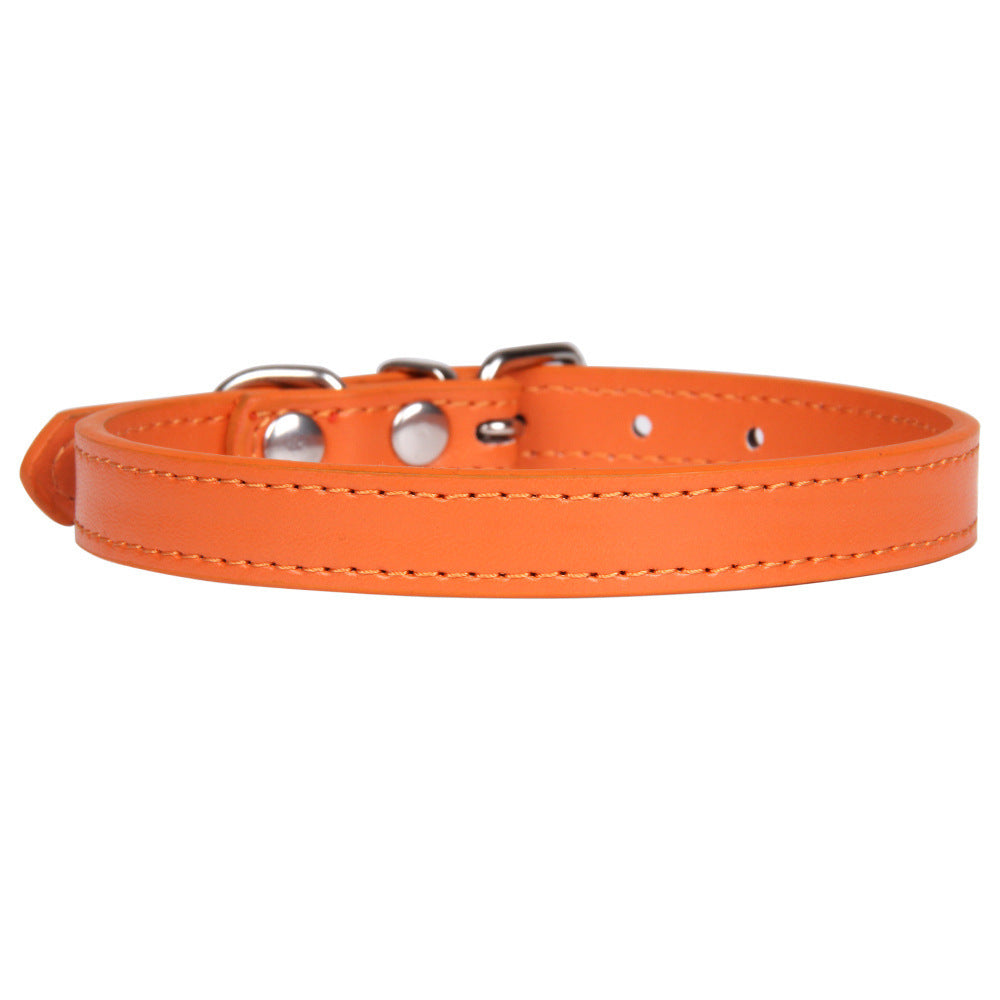 Large dog leash pet collar