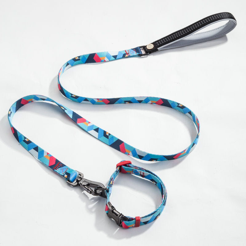 Pet leash collar