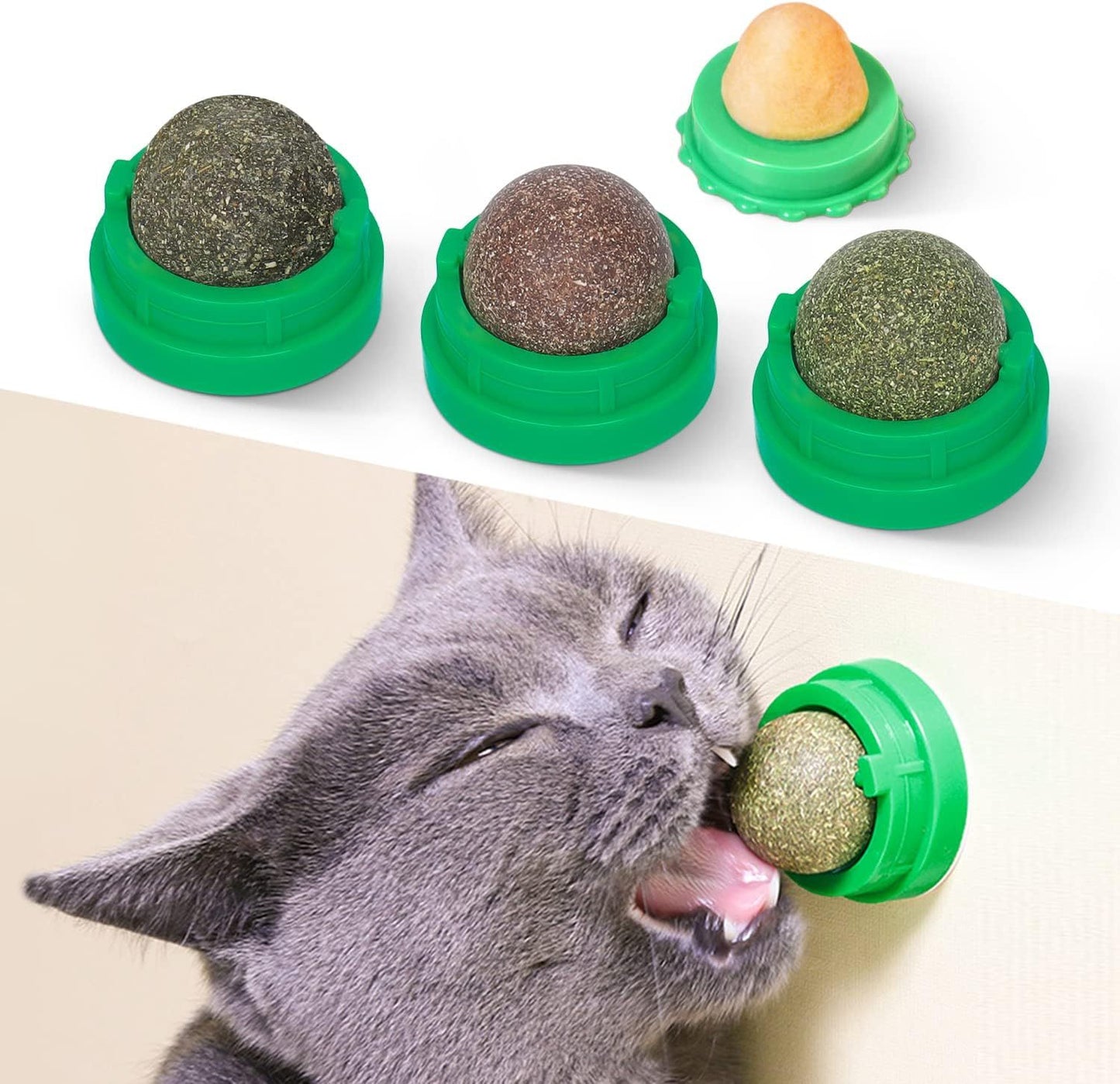 Dental Chew Toys Cat Wall Treats