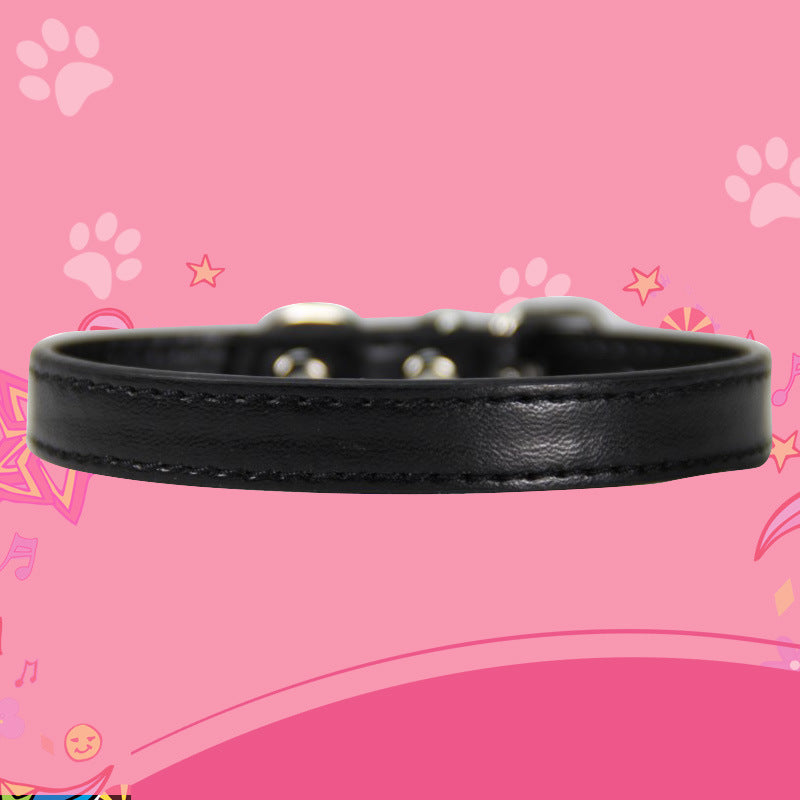 Large dog leash pet collar