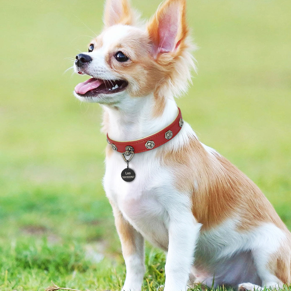 Pet leather collar