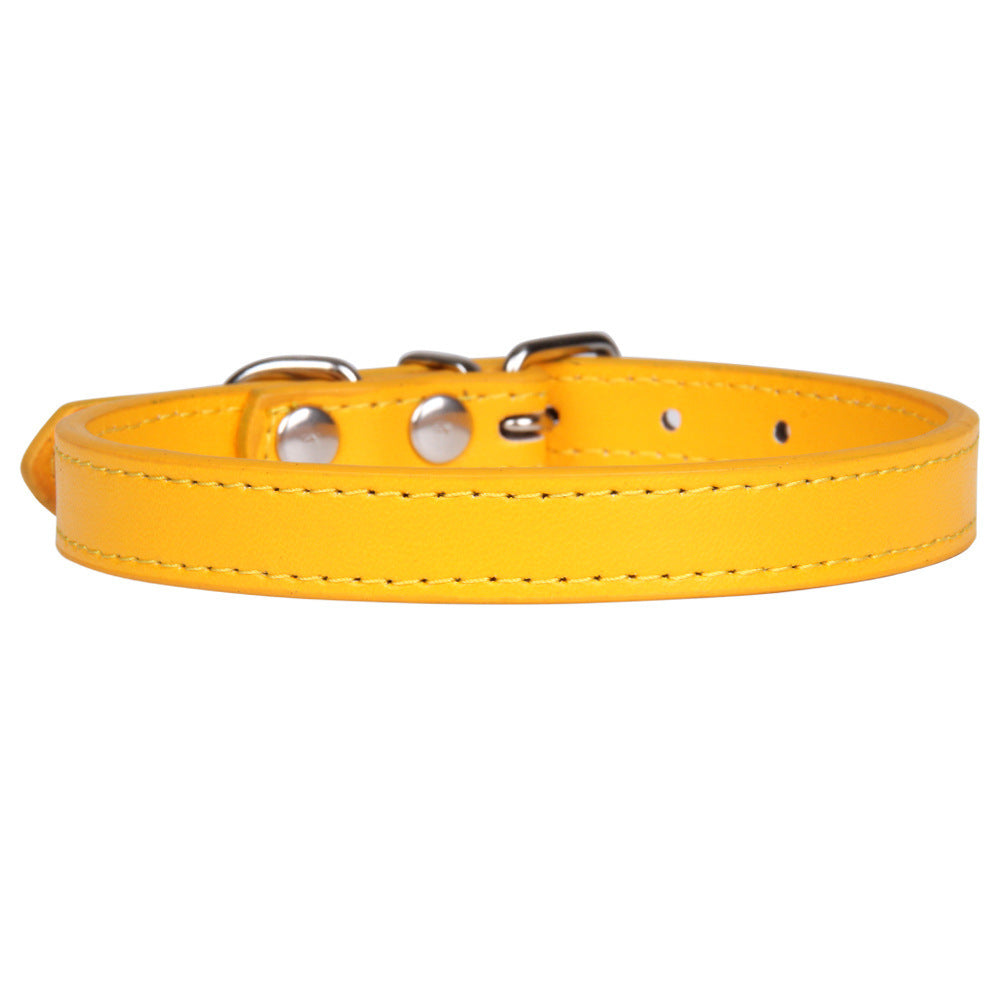 Large dog leash pet collar