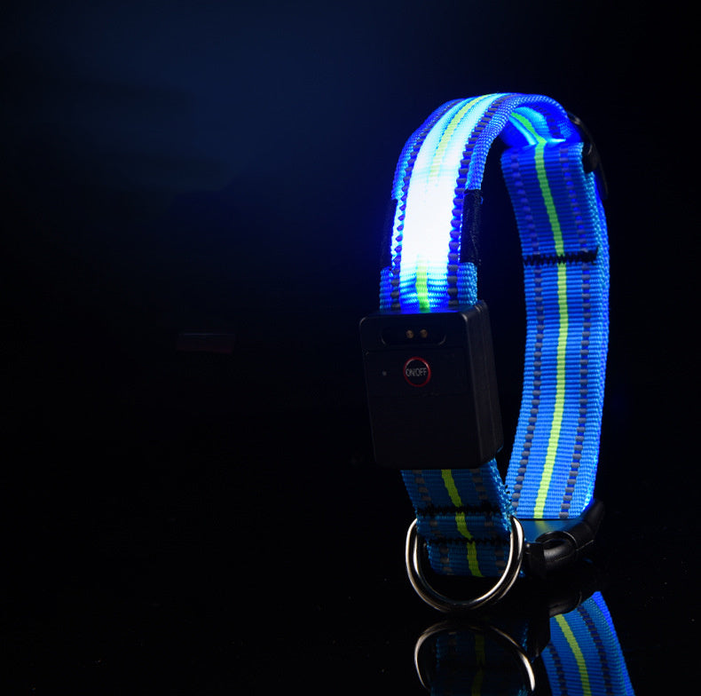 Pet dog glowing collar