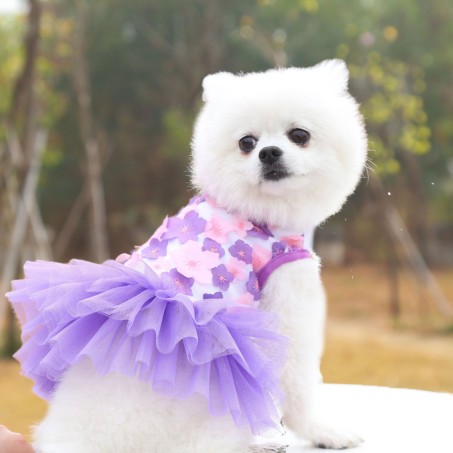 Pet Blossom Skirt