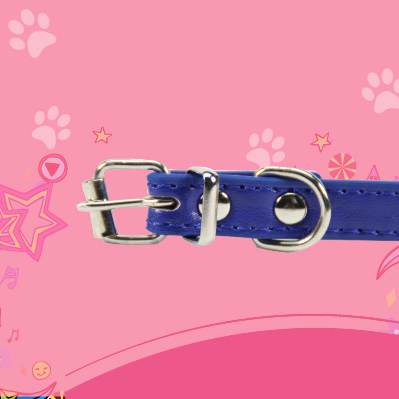 Large dog leash pet collar