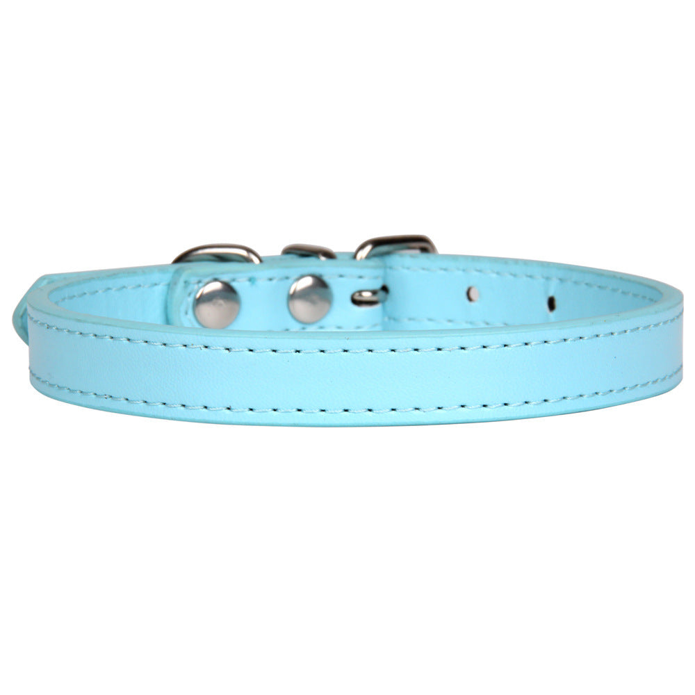 Large dog leash pet collar