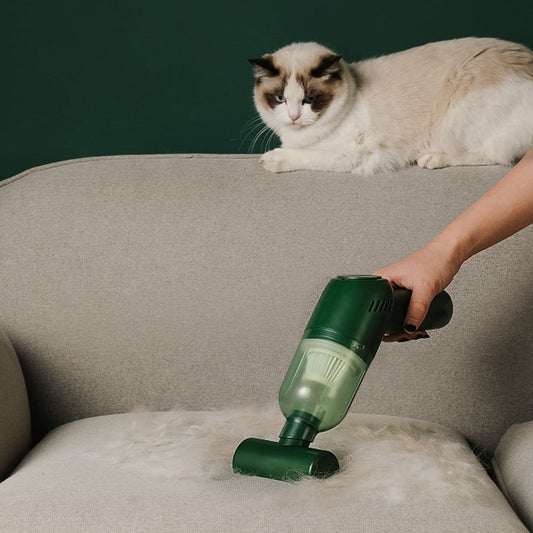 Affordable pet hair removal vacuum cleaner