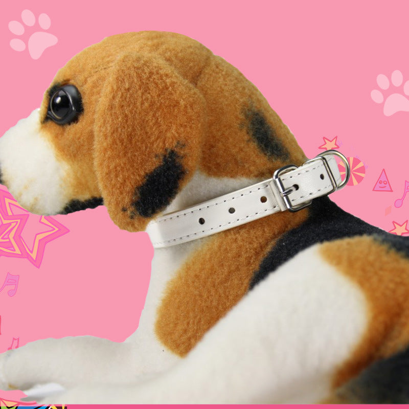 Large dog leash pet collar