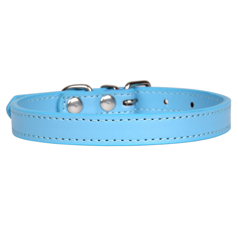 Large dog leash pet collar